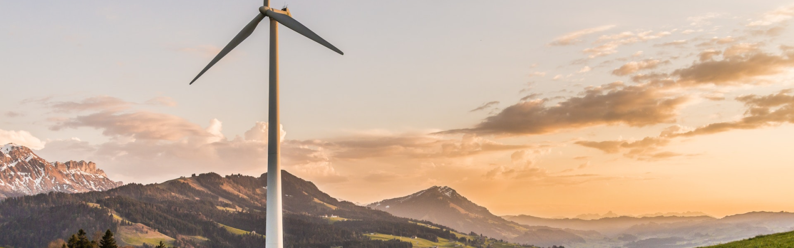 textdigital conservation, environmental stewardship, AI conservation, wildlife monitoring, population surveys, camera traps, drone monitoring, species identification, endangered species, invasive species, real-time monitoring, predictive modeling