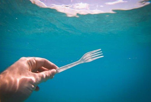 Is plastic affecting the ocean as a carbon sink?