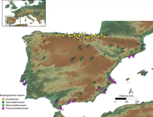 Ecosystem productivity affected the spatiotemporal disappearance of Neanderthals in Iberia
