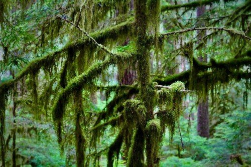 Proofreading and Editing Errors That Mislead Climate Readers