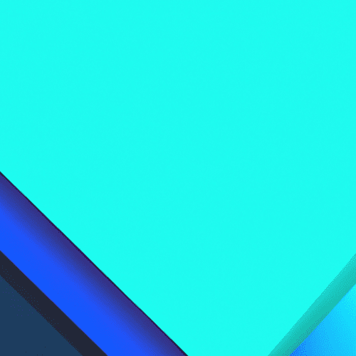 How Everything on Earth Is Connected